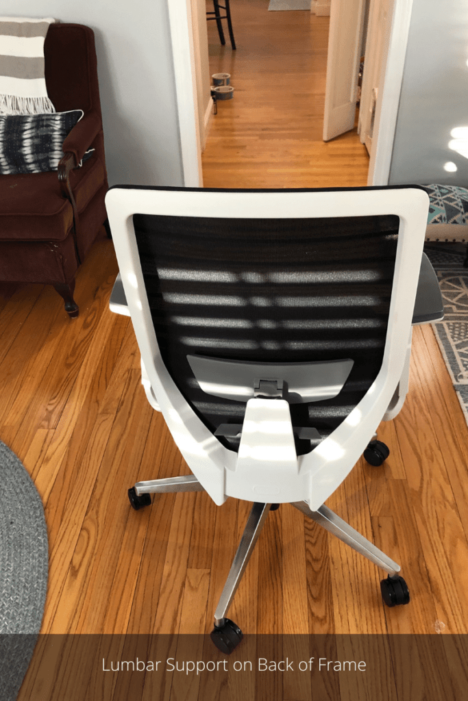 Lumbar-Support-on-Back-of-Frame