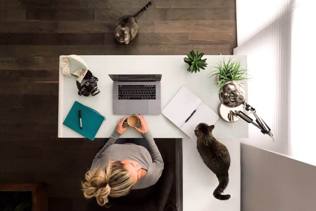 Woman at desk with laptop and cat