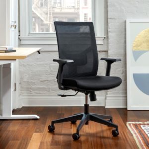 Best Home Office Chair for Back Pain