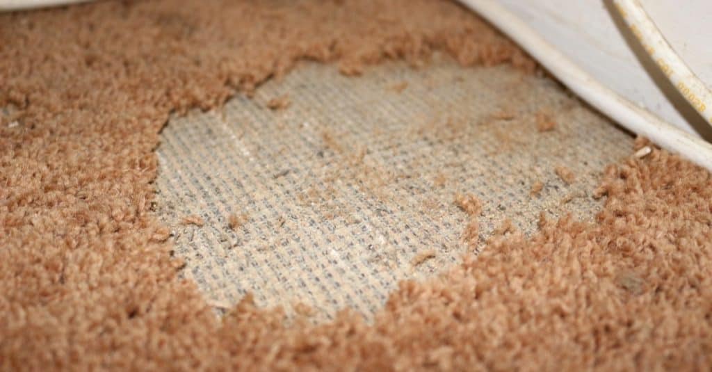 do office chairs ruin carpet